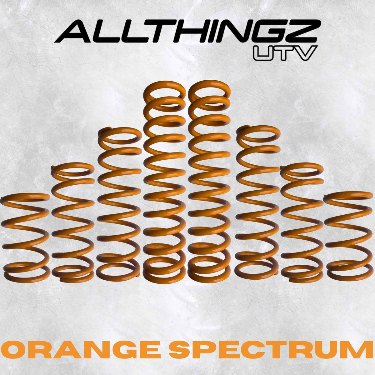 Polaris RZR Pro XP 4 Seater Dual Rate Spring Kit (Universal Shock Fitment)