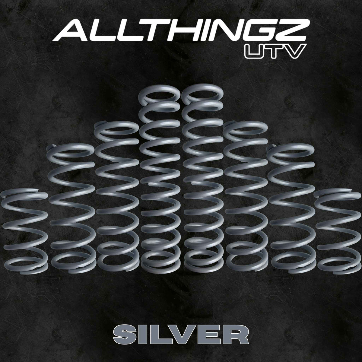 Polaris RZR Pro S 2 Seater Dual Rate Spring Kit (Universal Shock Fitment)